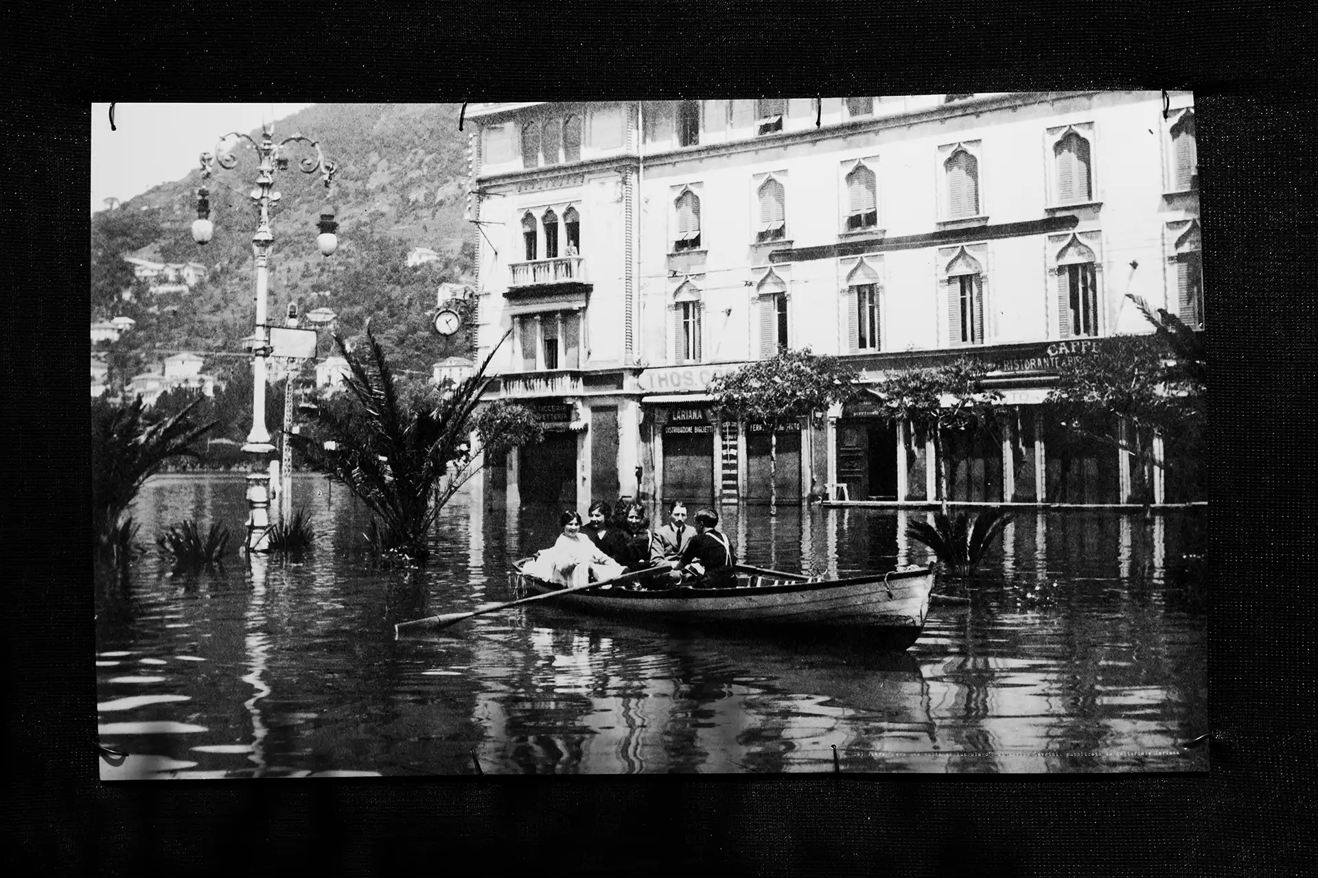 Gonçalo Cunha de Sá