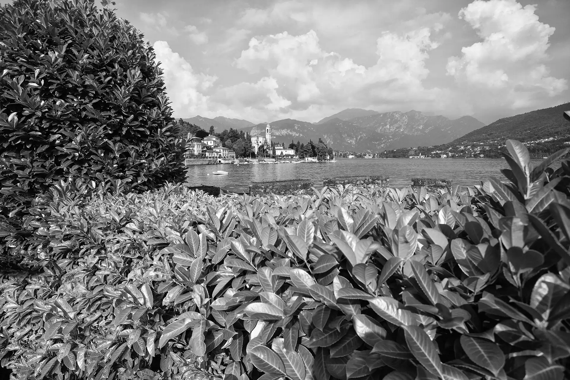 Gonçalo Cunha de Sá