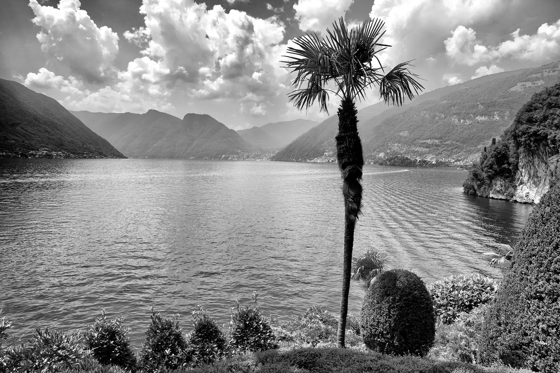 Gonçalo Cunha de Sá