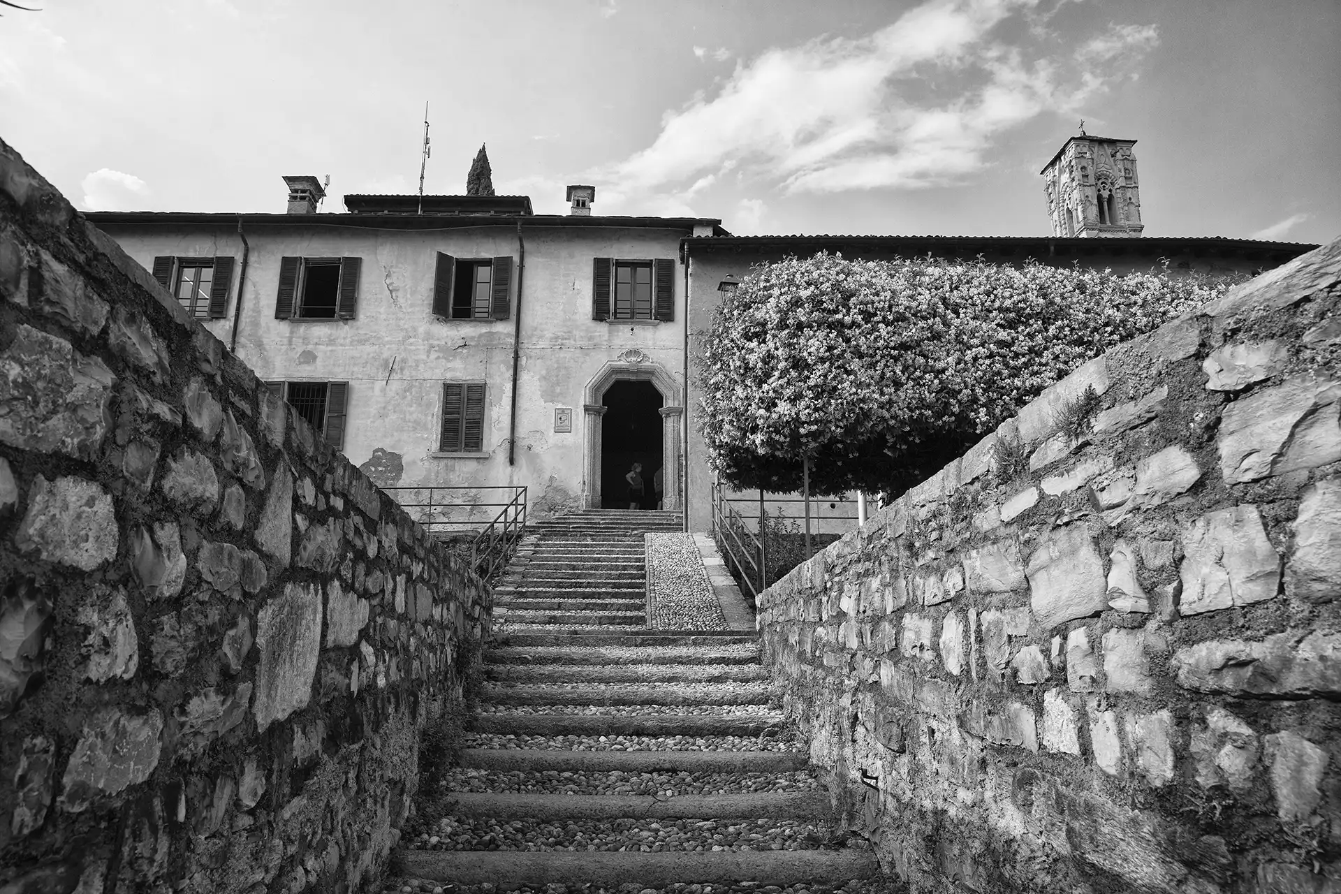 Gonçalo Cunha de Sá