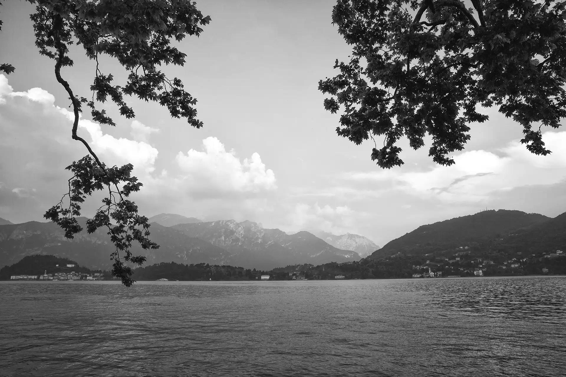 Gonçalo Cunha de Sá