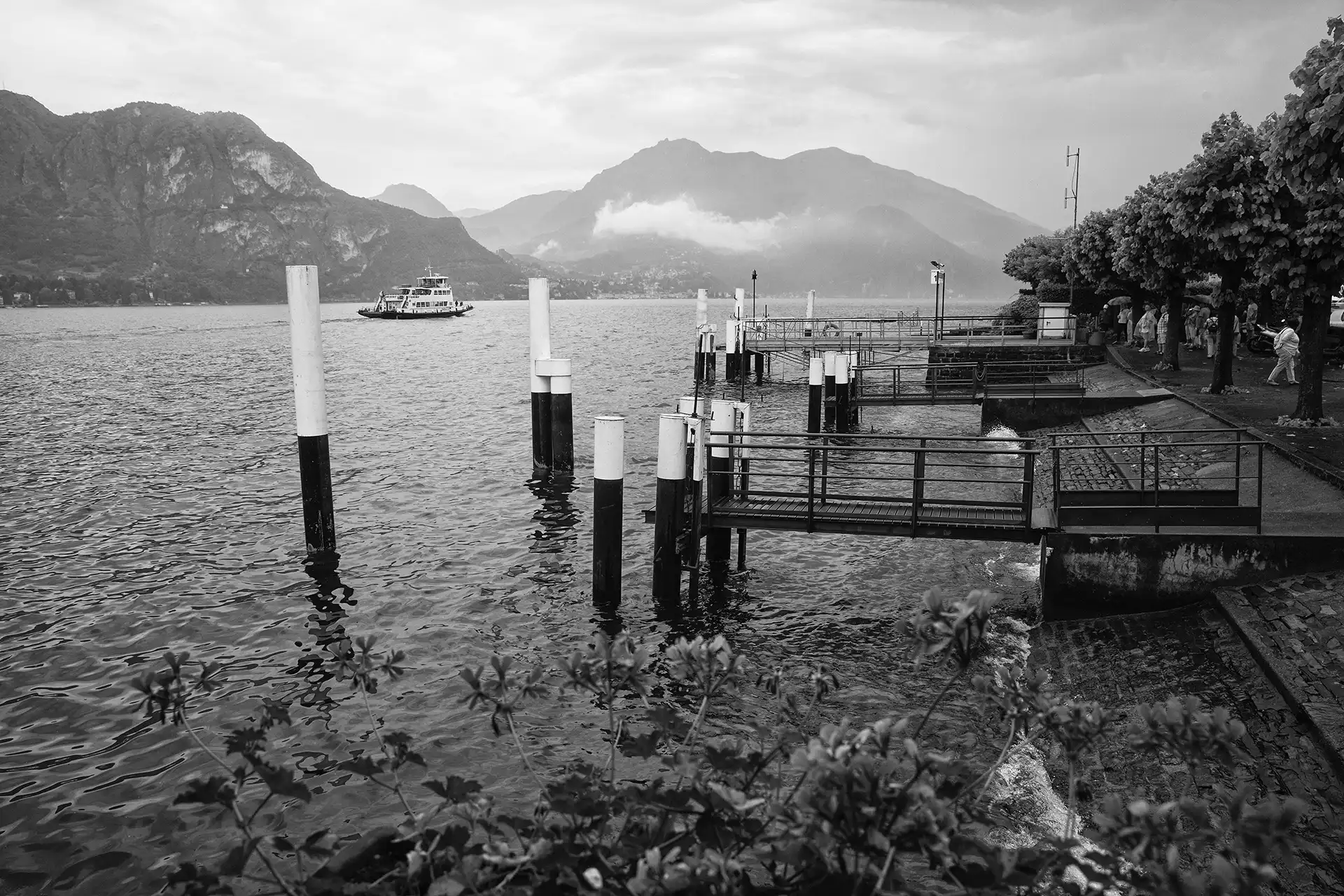 Gonçalo Cunha de Sá