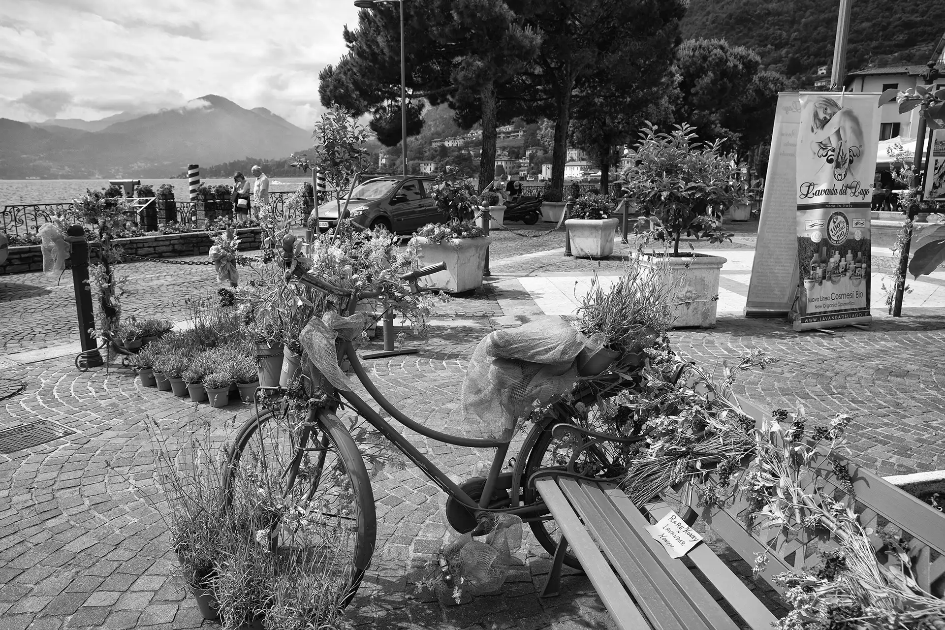 Gonçalo Cunha de Sá