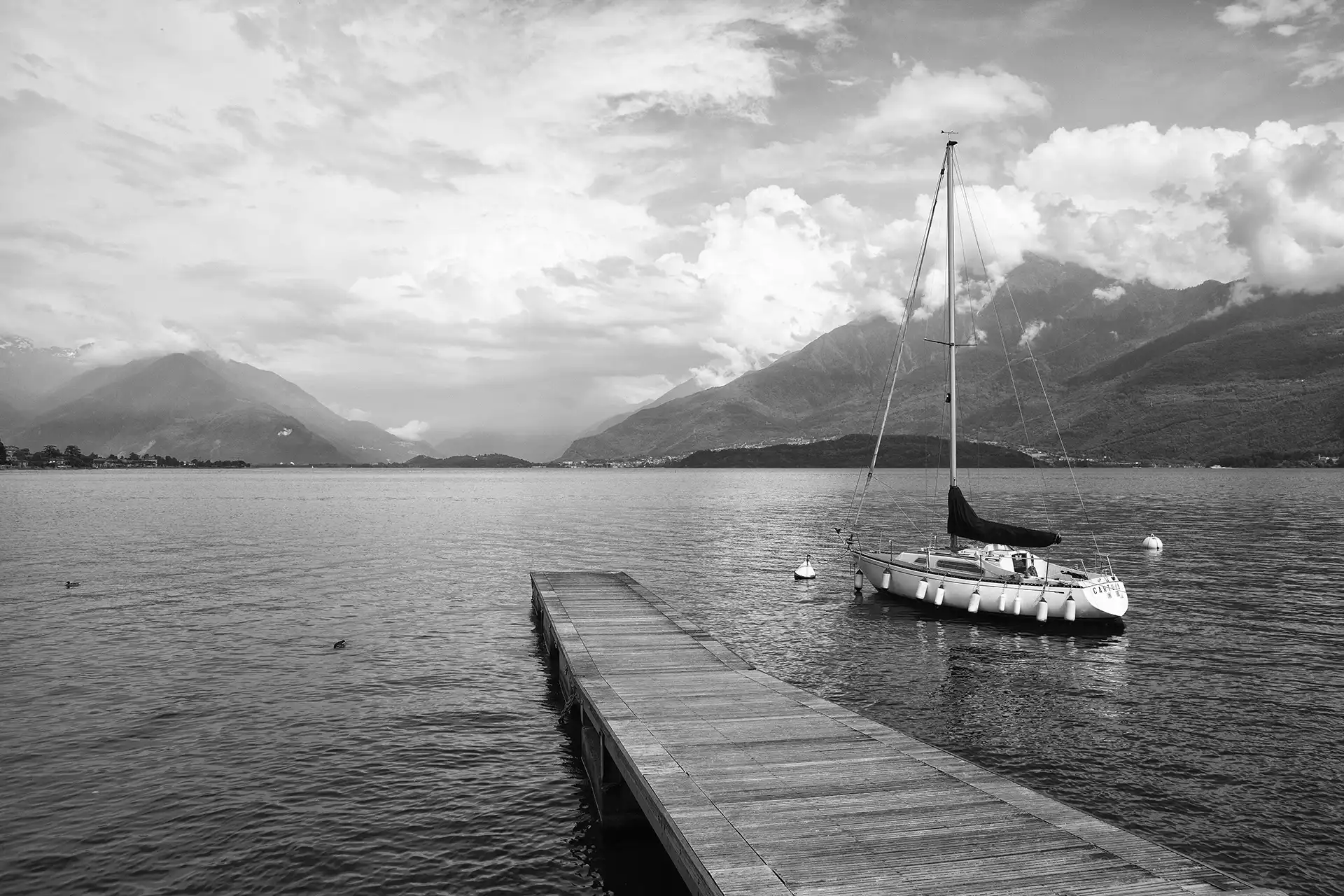 Gonçalo Cunha de Sá