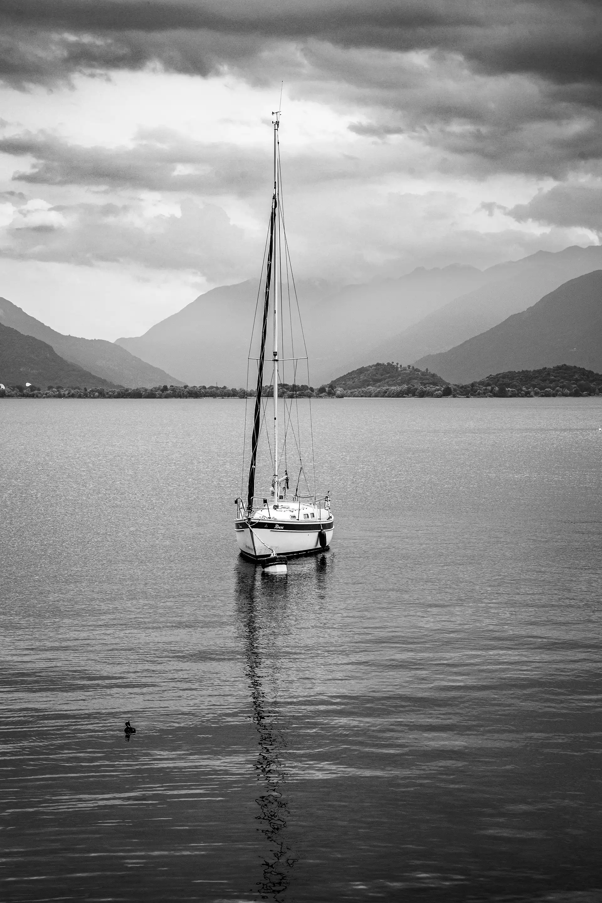 Gonçalo Cunha de Sá