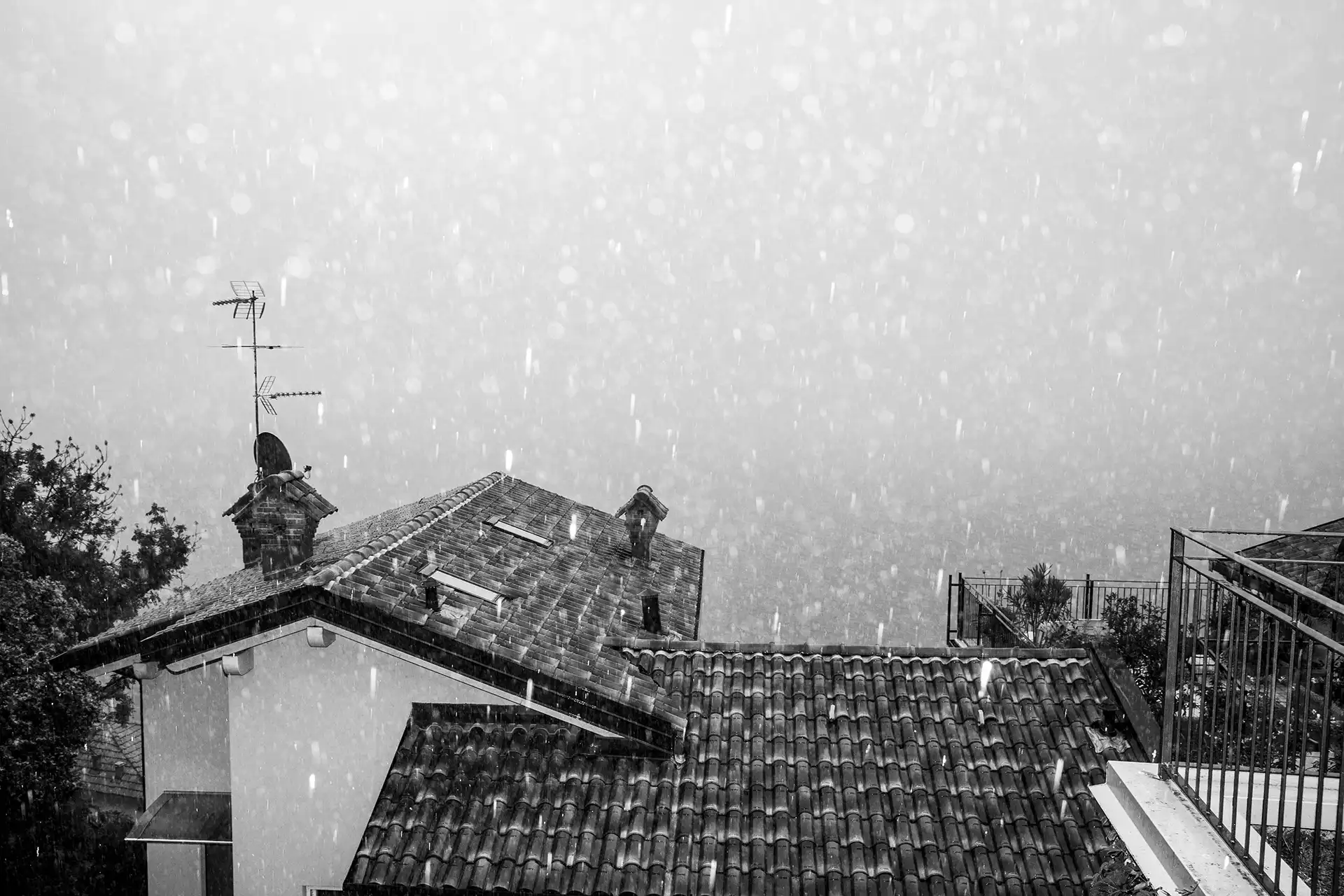 Gonçalo Cunha de Sá