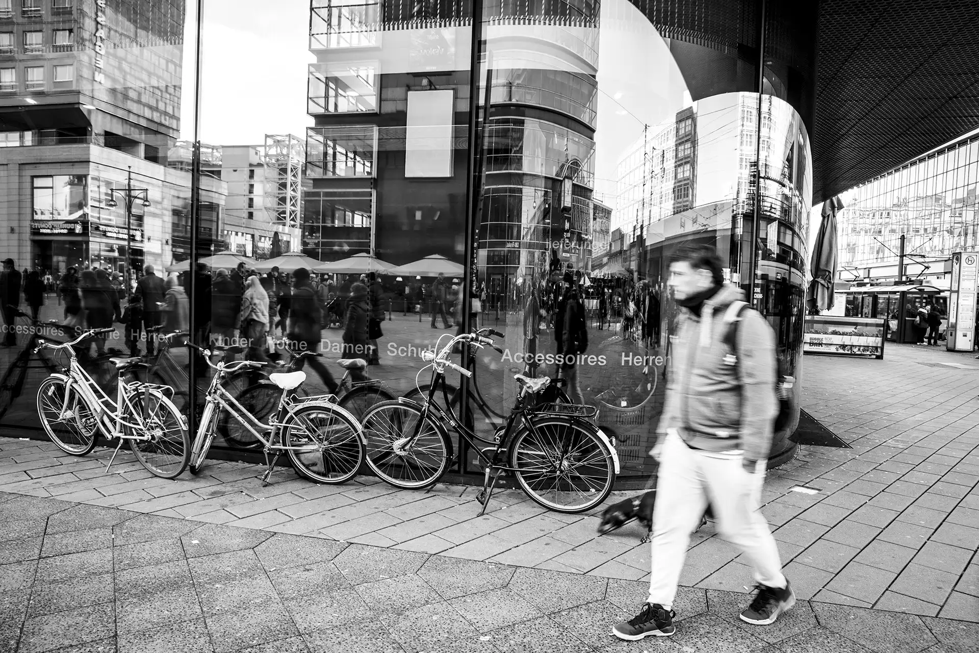 Gonçalo Cunha de Sá