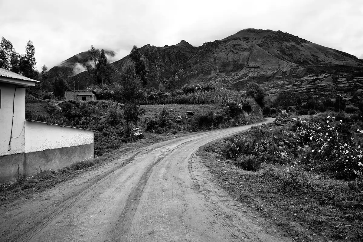 Gonçalo Cunha de Sá
