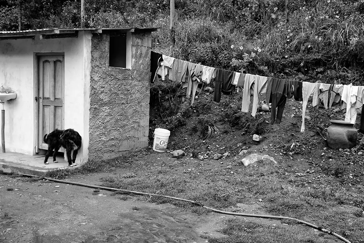 Gonçalo Cunha de Sá