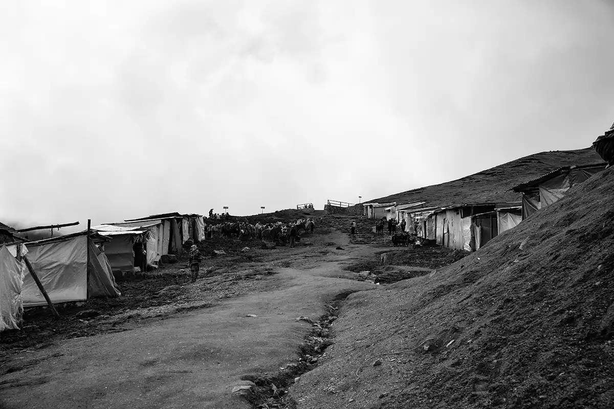 Gonçalo Cunha de Sá