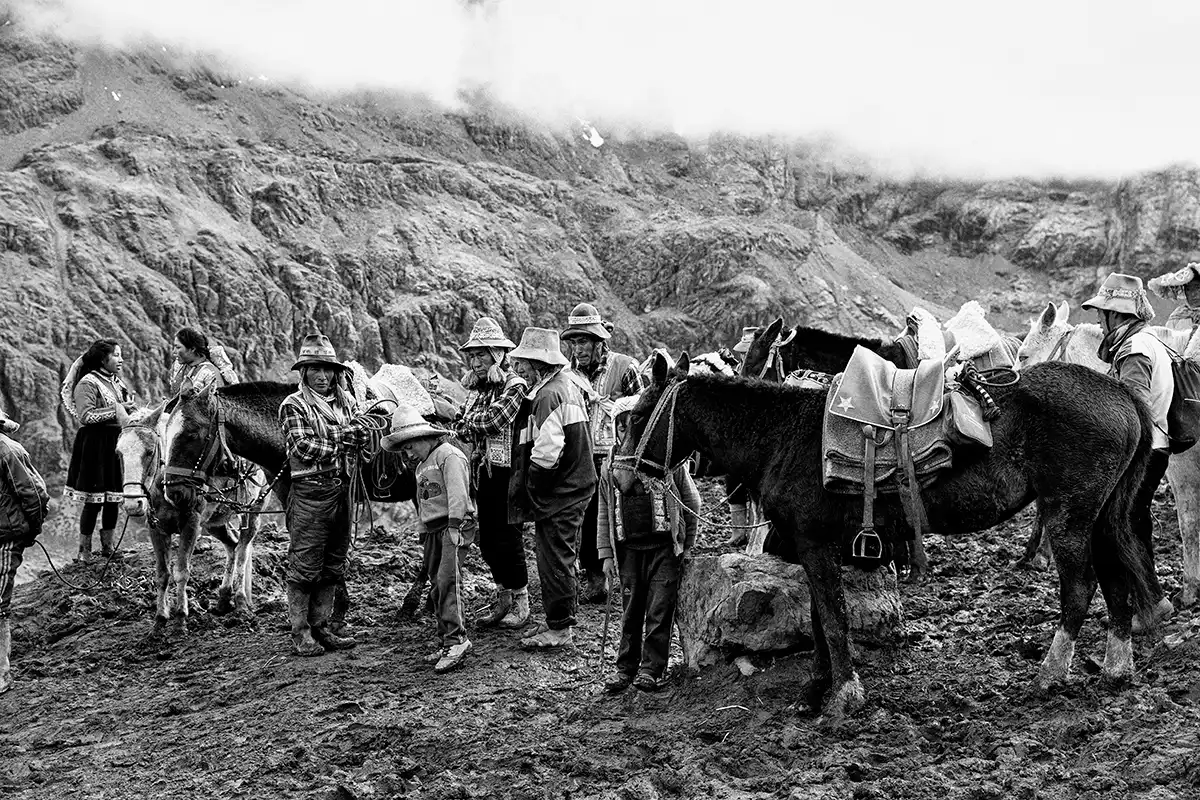 Gonçalo Cunha de Sá