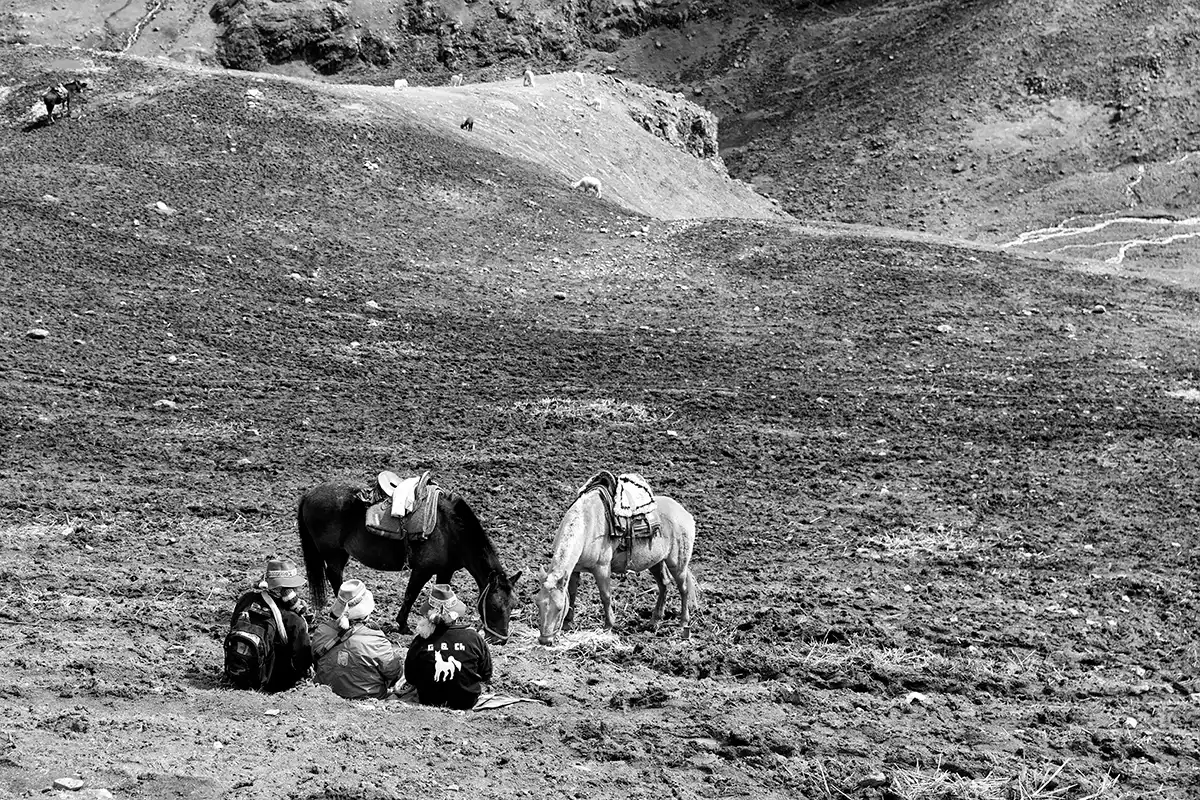 Gonçalo Cunha de Sá
