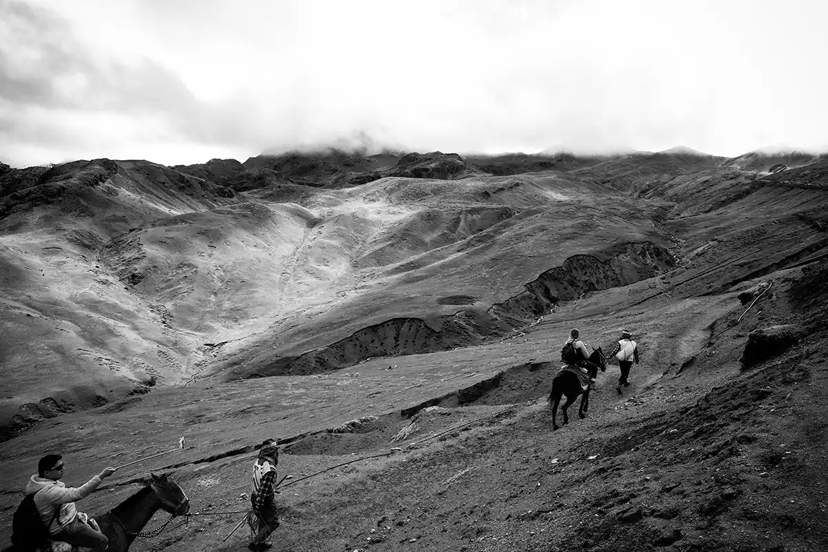 Gonçalo Cunha de Sá