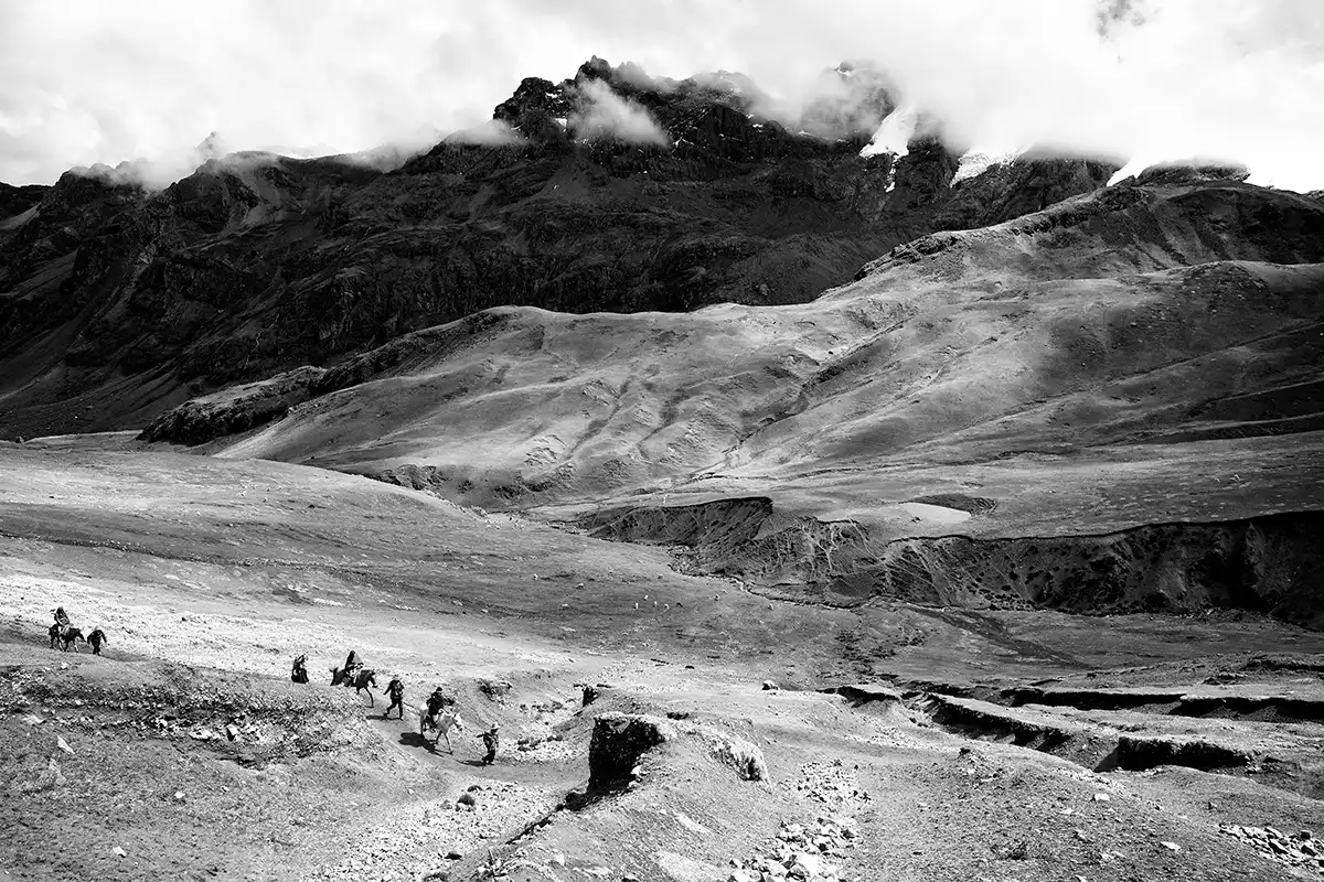 Gonçalo Cunha de Sá