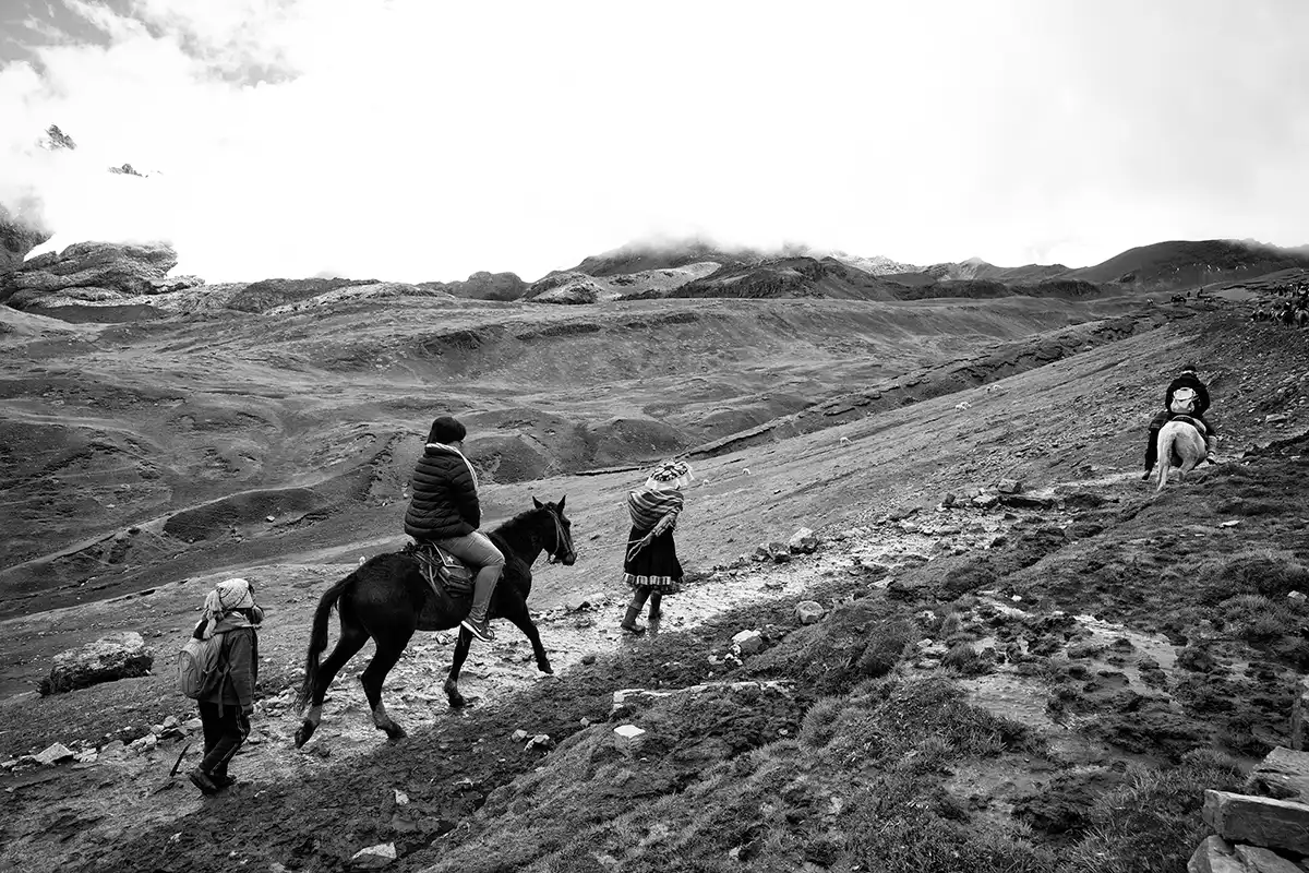 Gonçalo Cunha de Sá