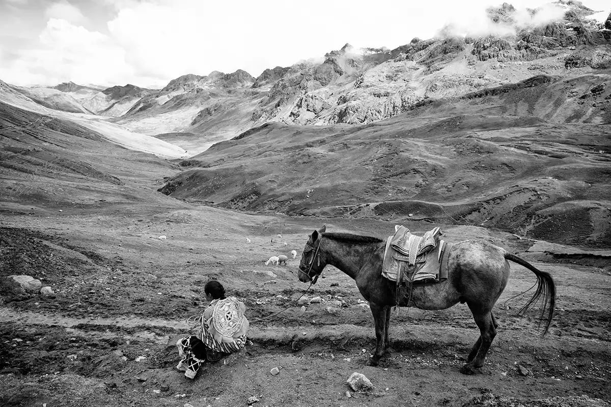 Gonçalo Cunha de Sá