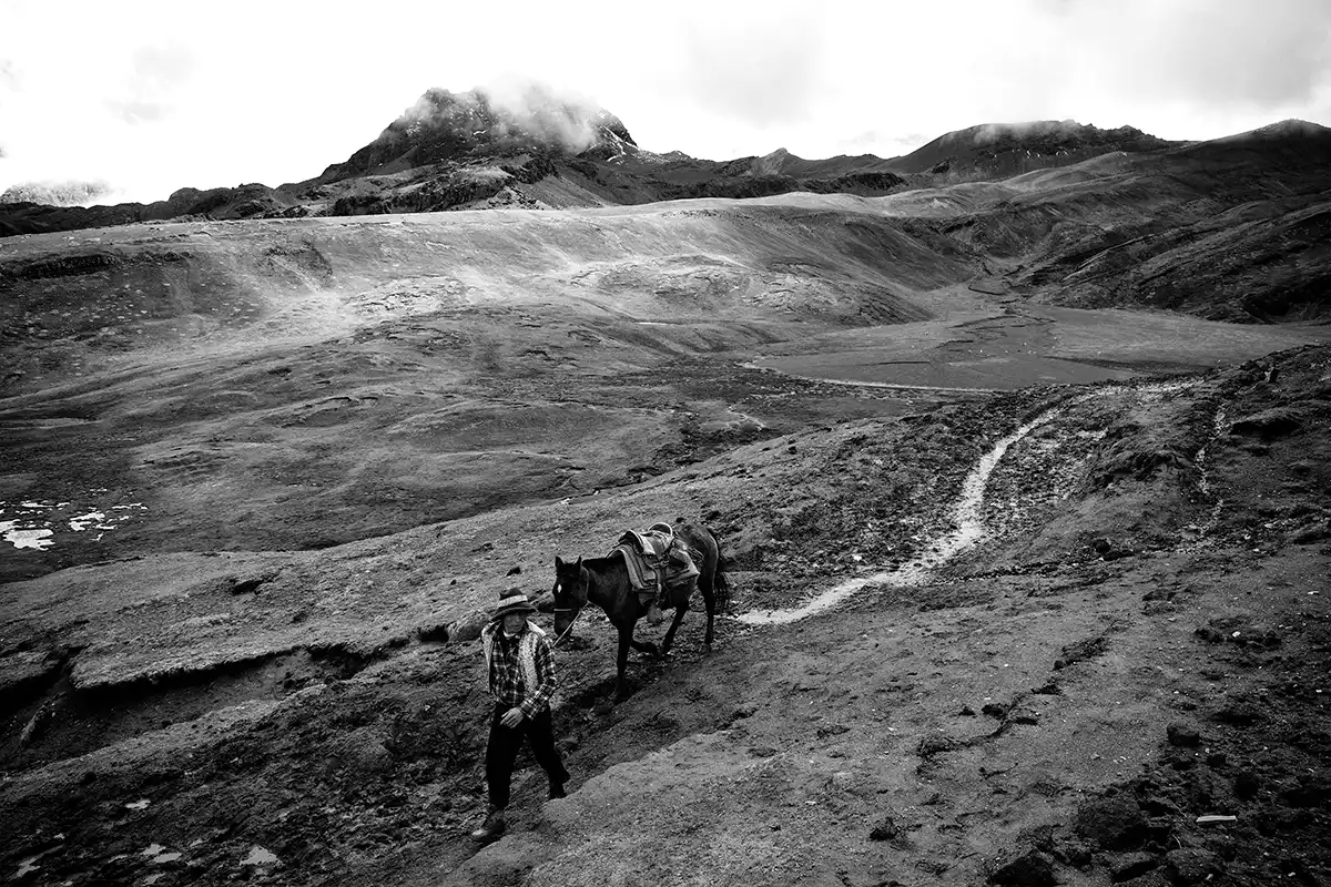 Gonçalo Cunha de Sá