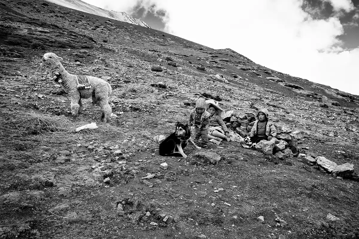 Gonçalo Cunha de Sá
