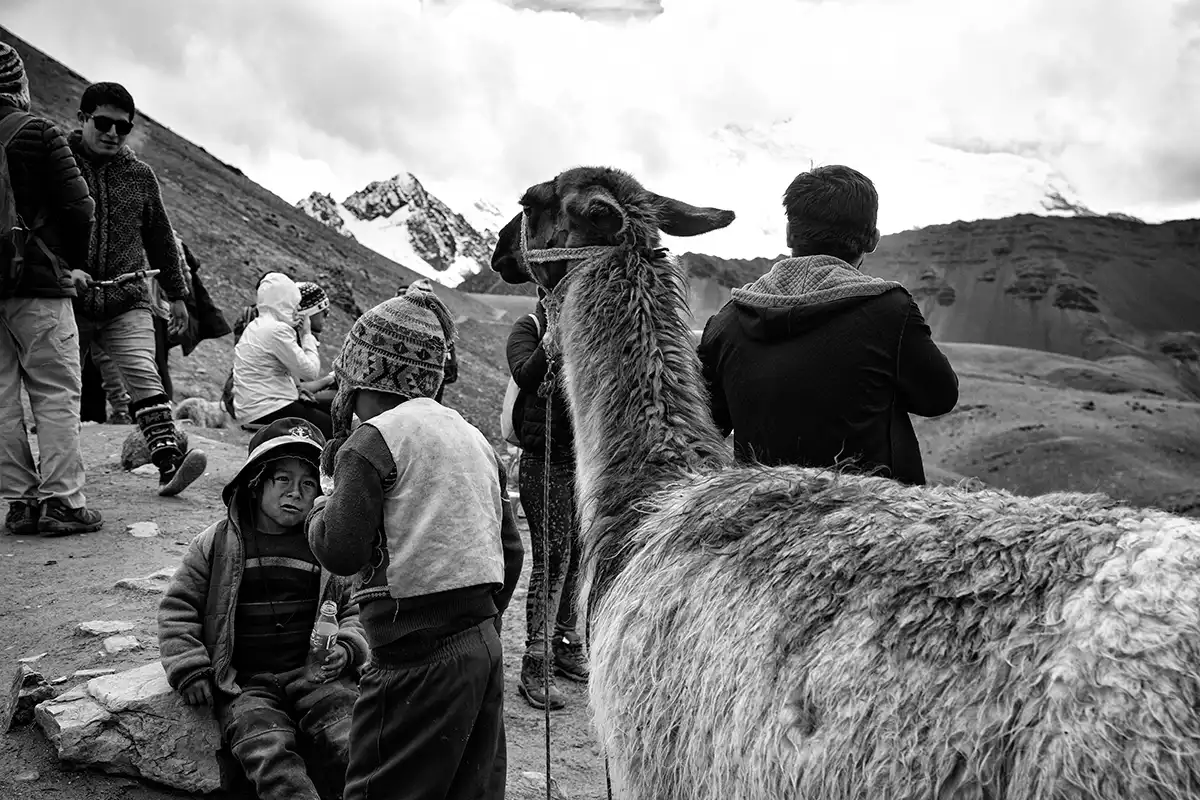 Gonçalo Cunha de Sá