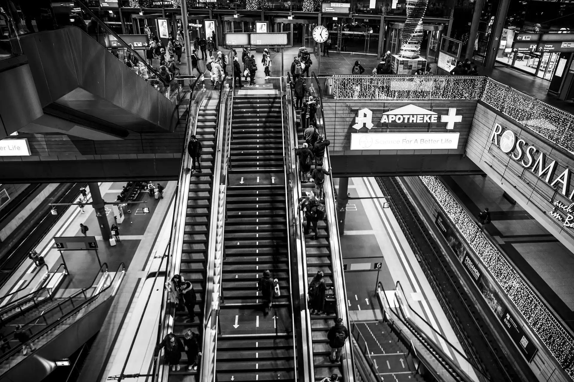 Gonçalo Cunha de Sá