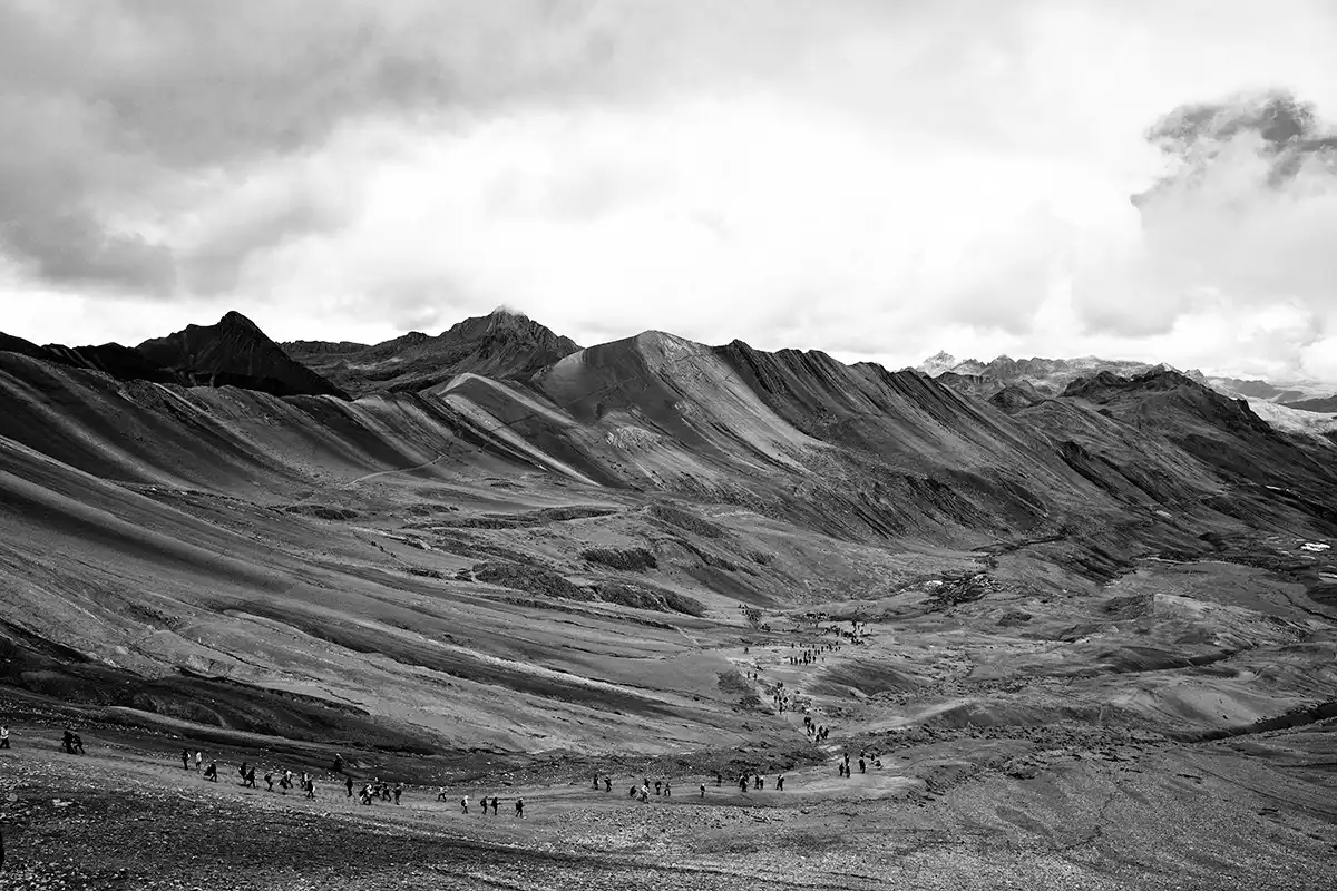 Gonçalo Cunha de Sá