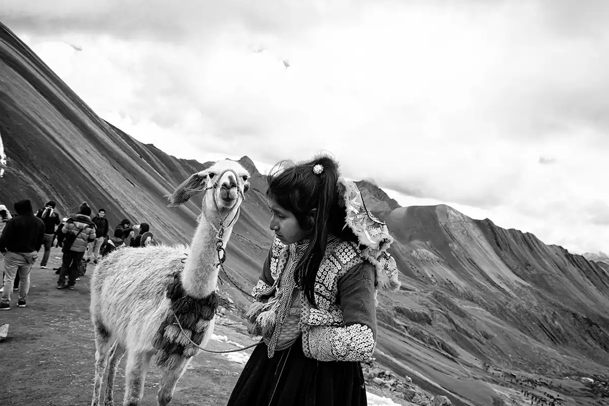 Gonçalo Cunha de Sá