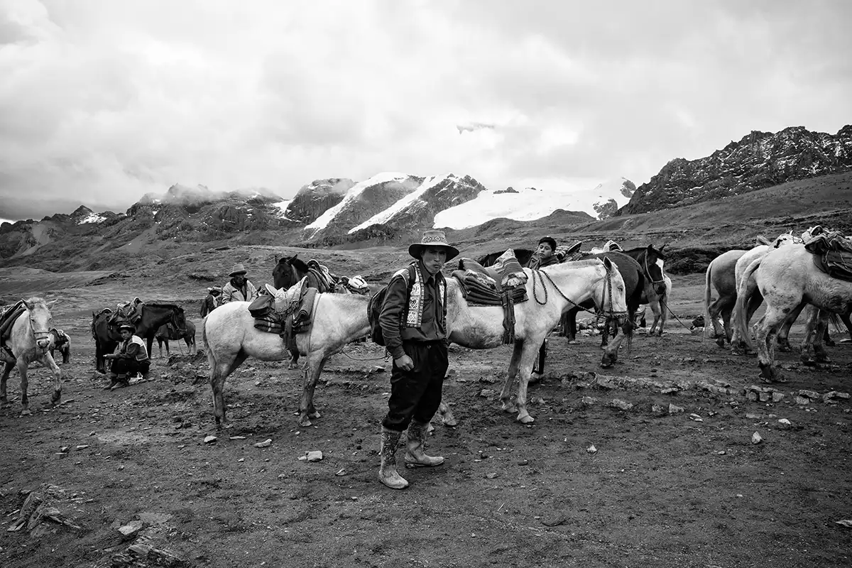 Gonçalo Cunha de Sá