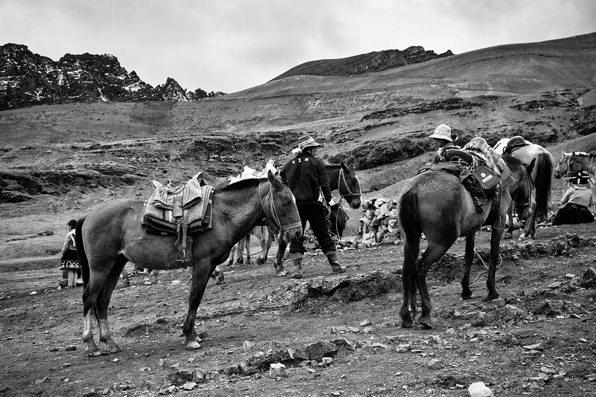 Gonçalo Cunha de Sá