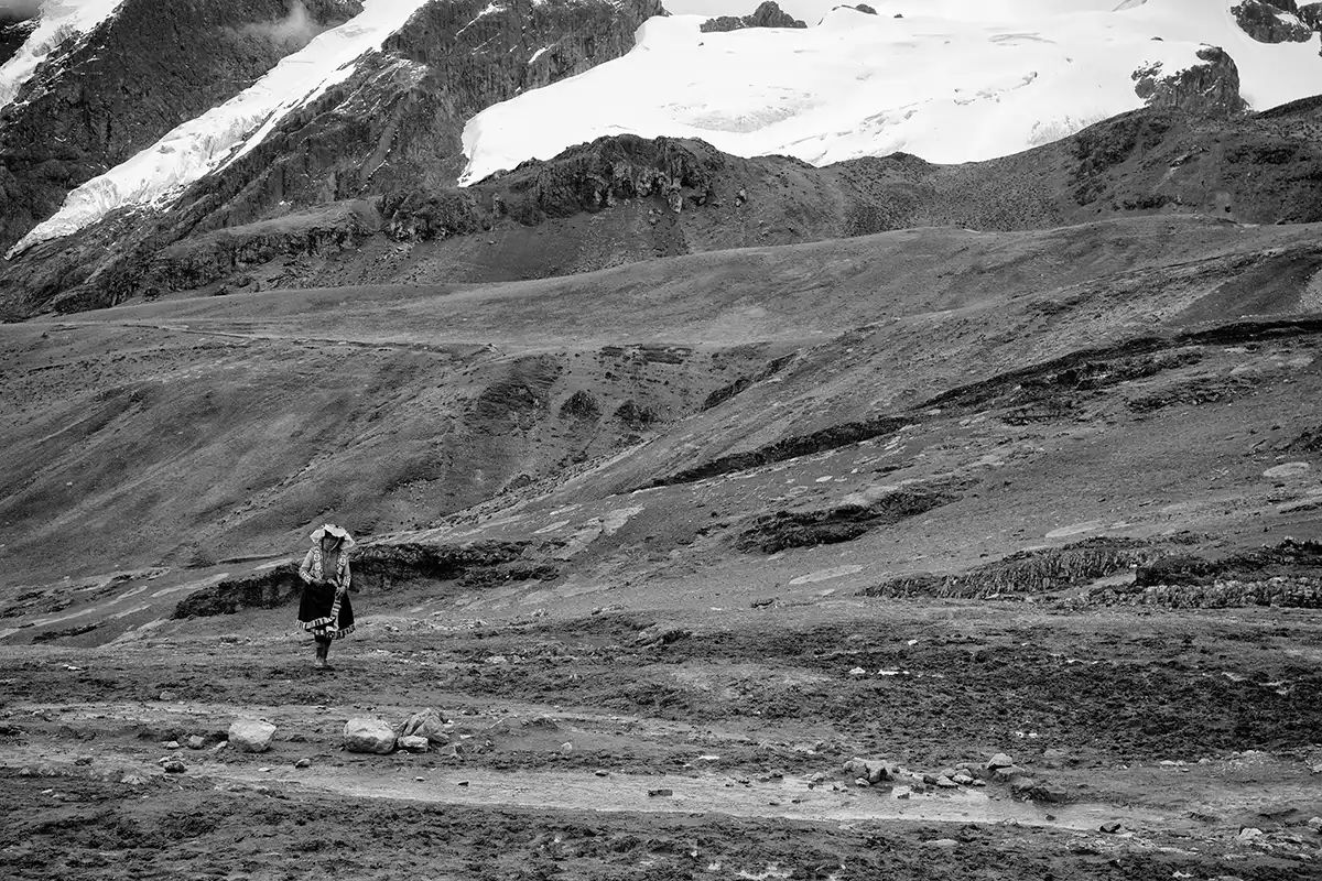 Gonçalo Cunha de Sá