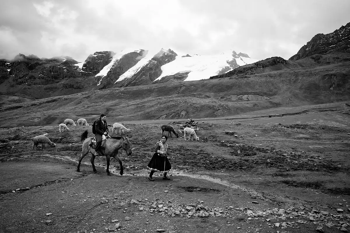 Gonçalo Cunha de Sá