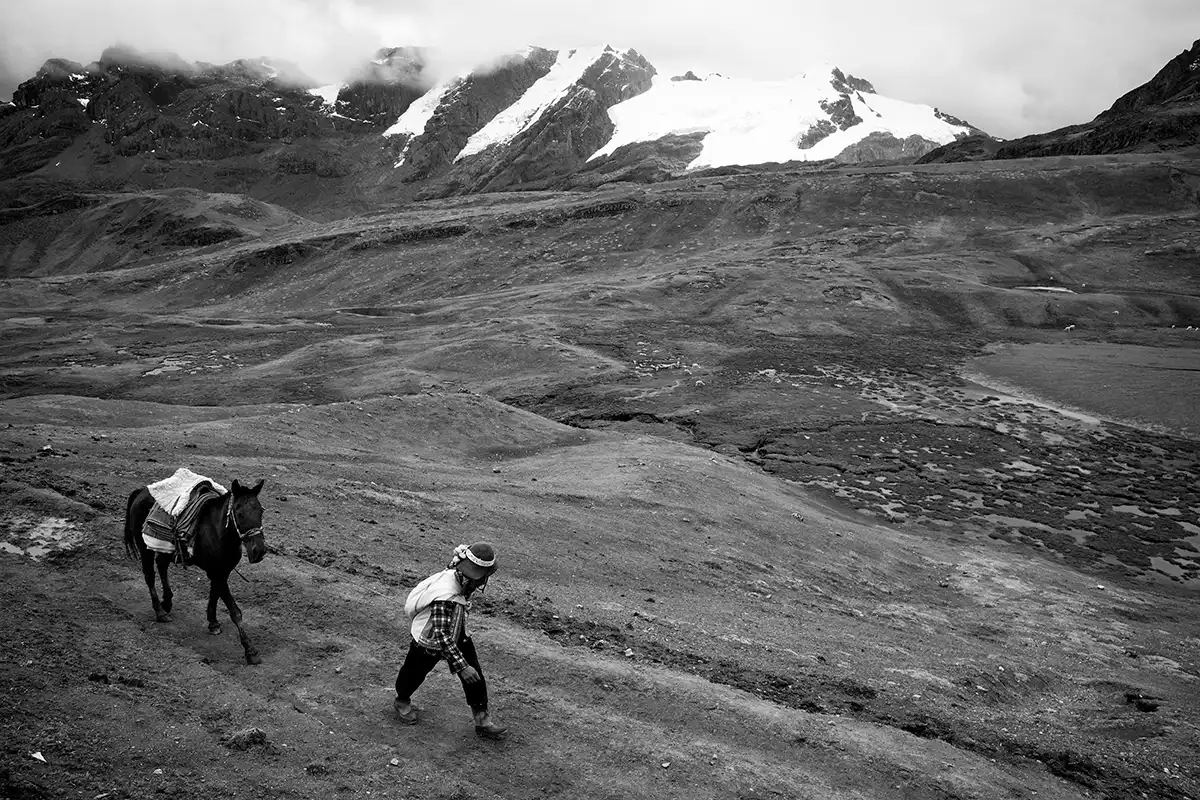 Gonçalo Cunha de Sá