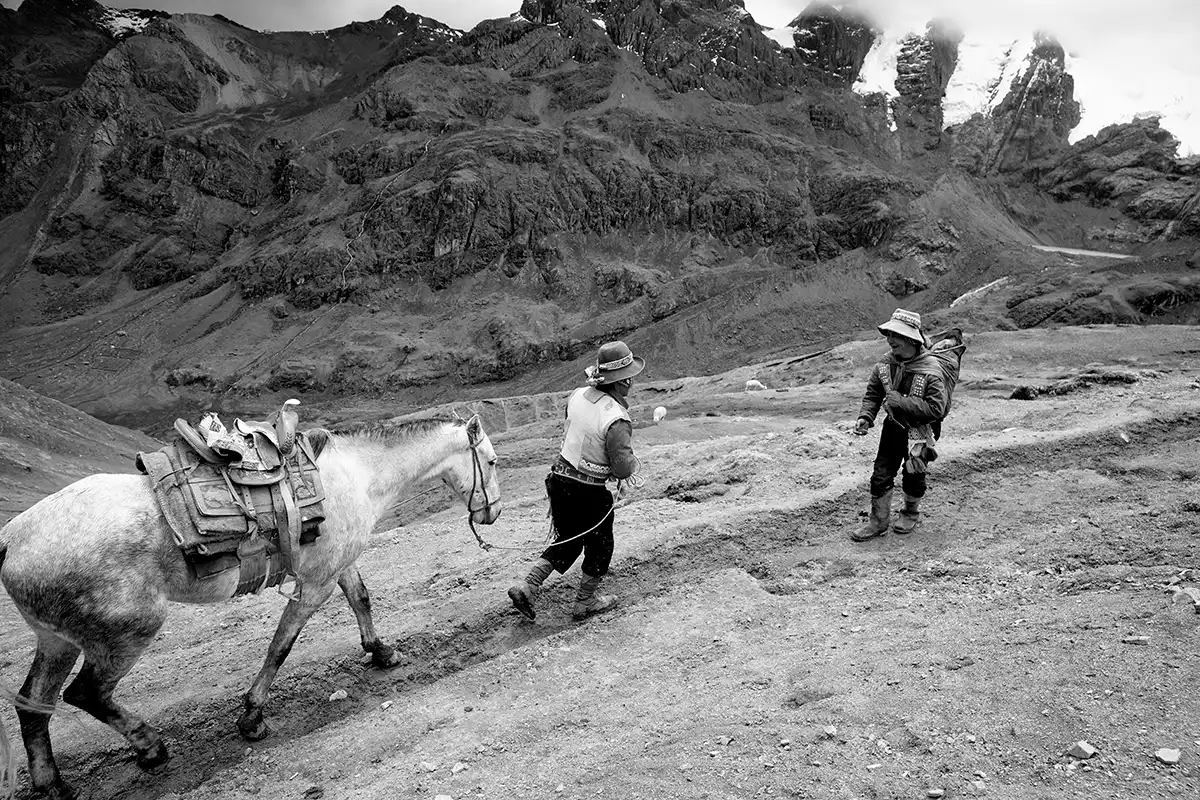 Gonçalo Cunha de Sá