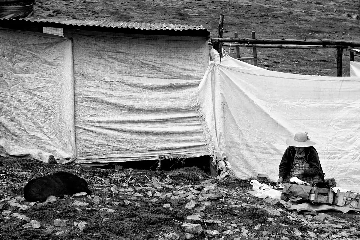 Gonçalo Cunha de Sá