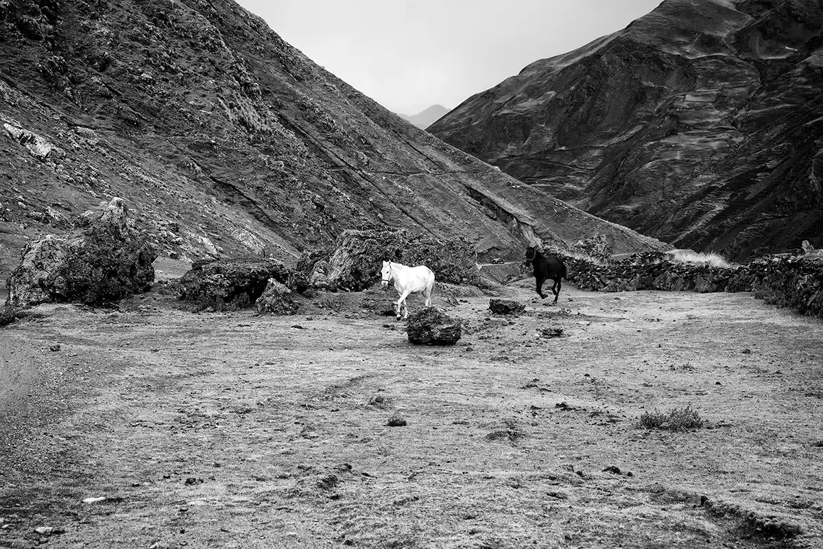 Gonçalo Cunha de Sá
