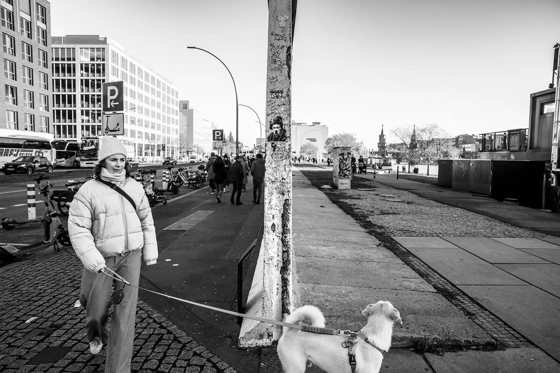 Gonçalo Cunha de Sá