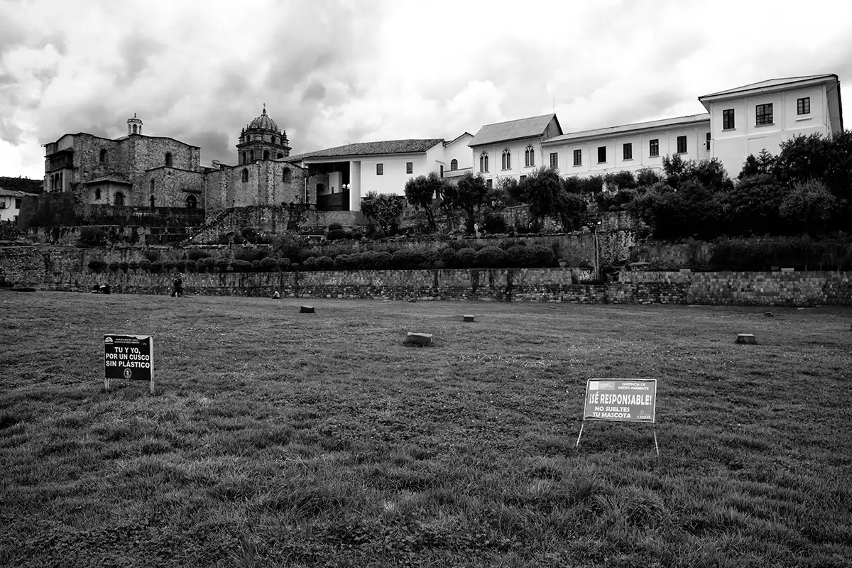 Gonçalo Cunha de Sá