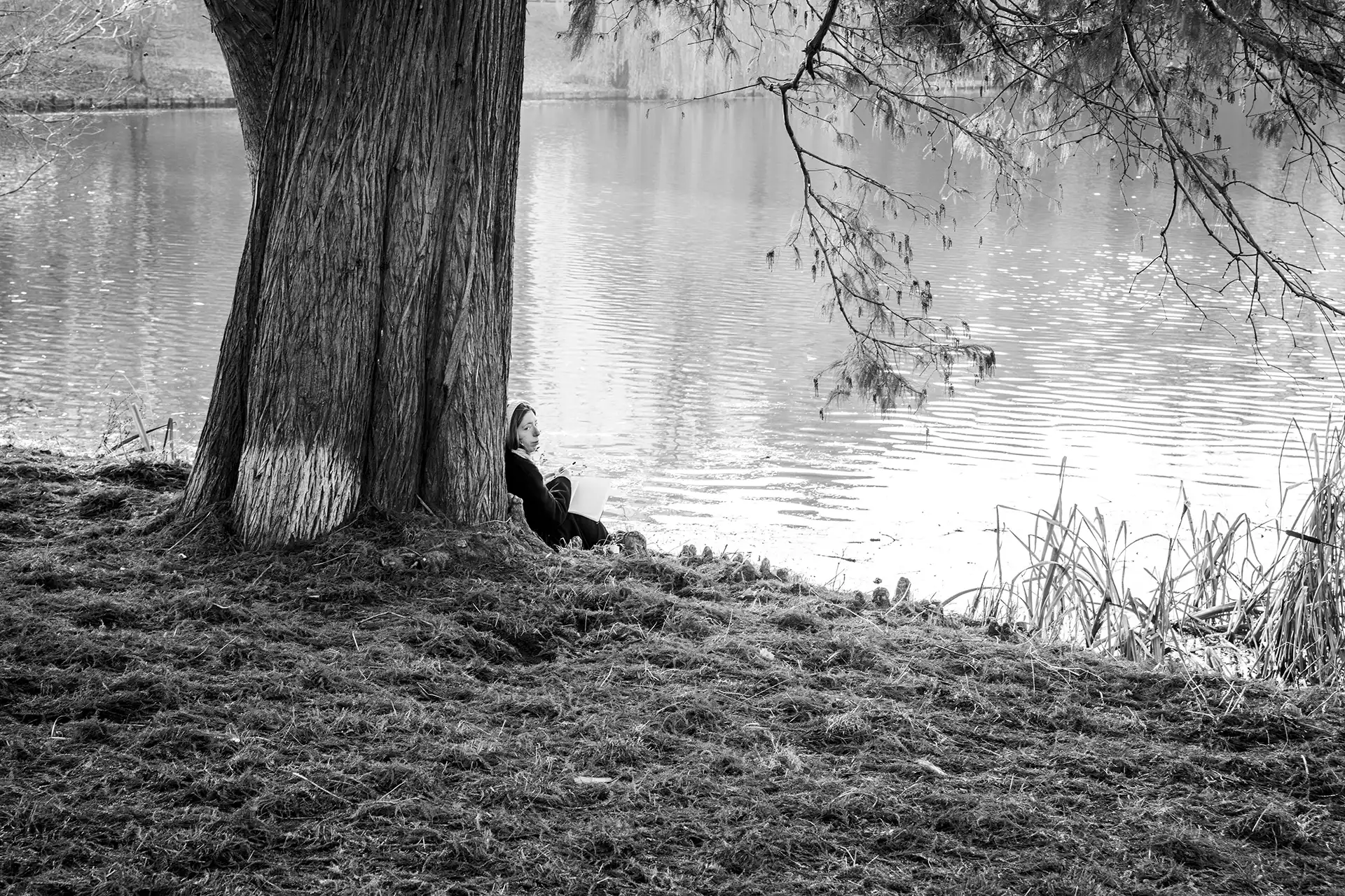 Gonçalo Cunha de Sá