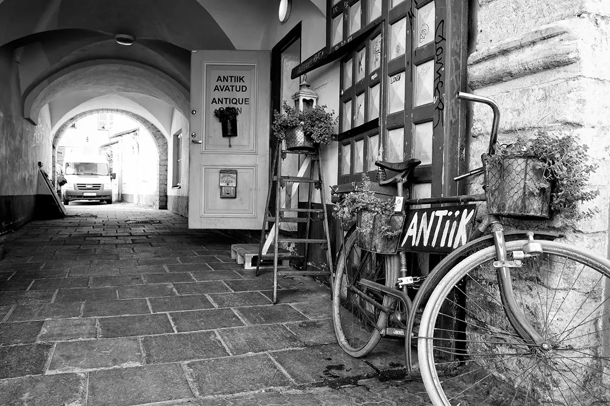 Gonçalo Cunha de Sá