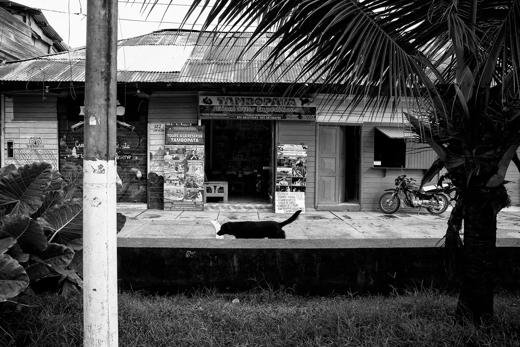 Gonçalo Cunha de Sá