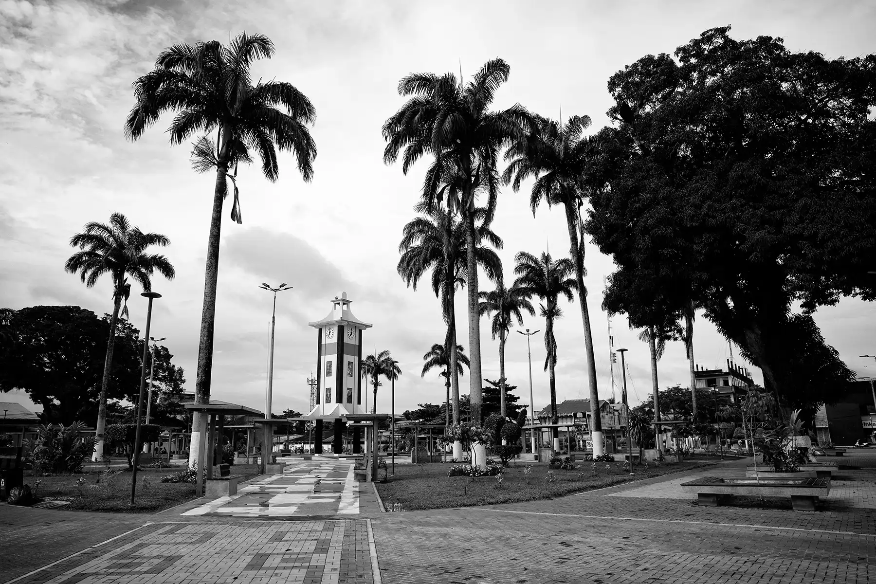 Gonçalo Cunha de Sá