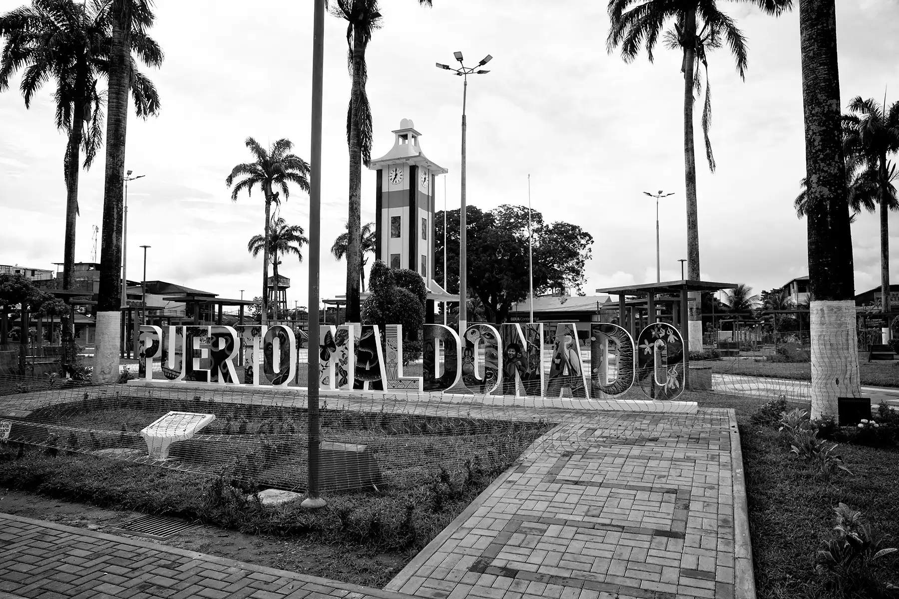 Gonçalo Cunha de Sá