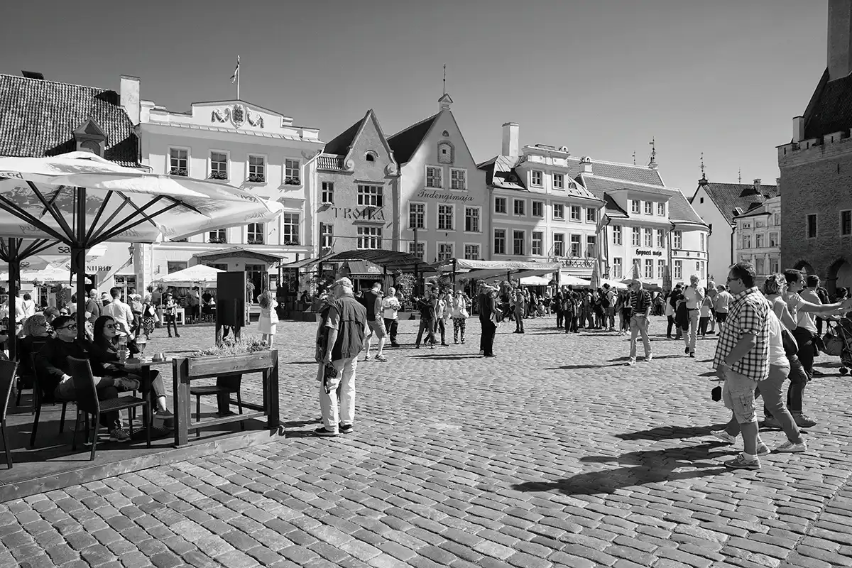 Gonçalo Cunha de Sá