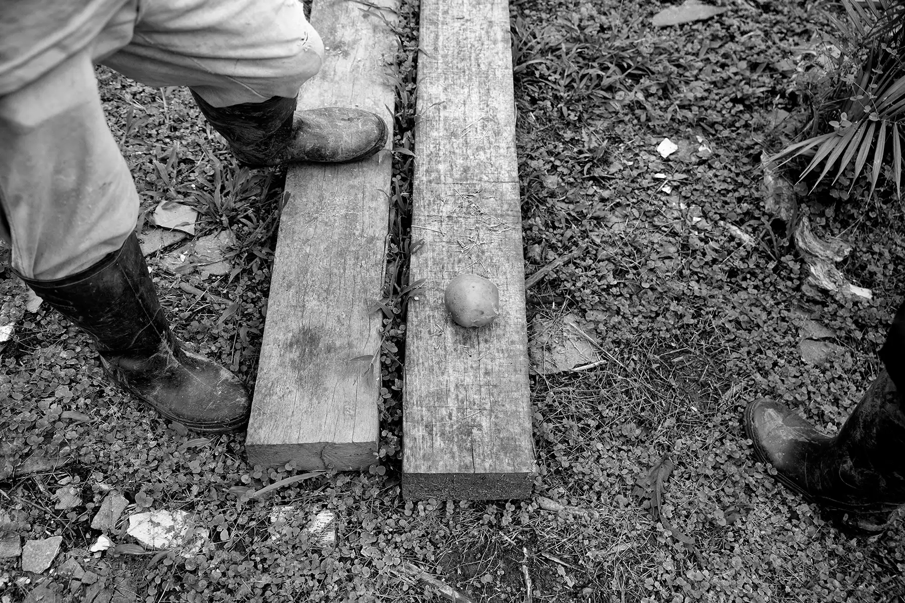 Gonçalo Cunha de Sá