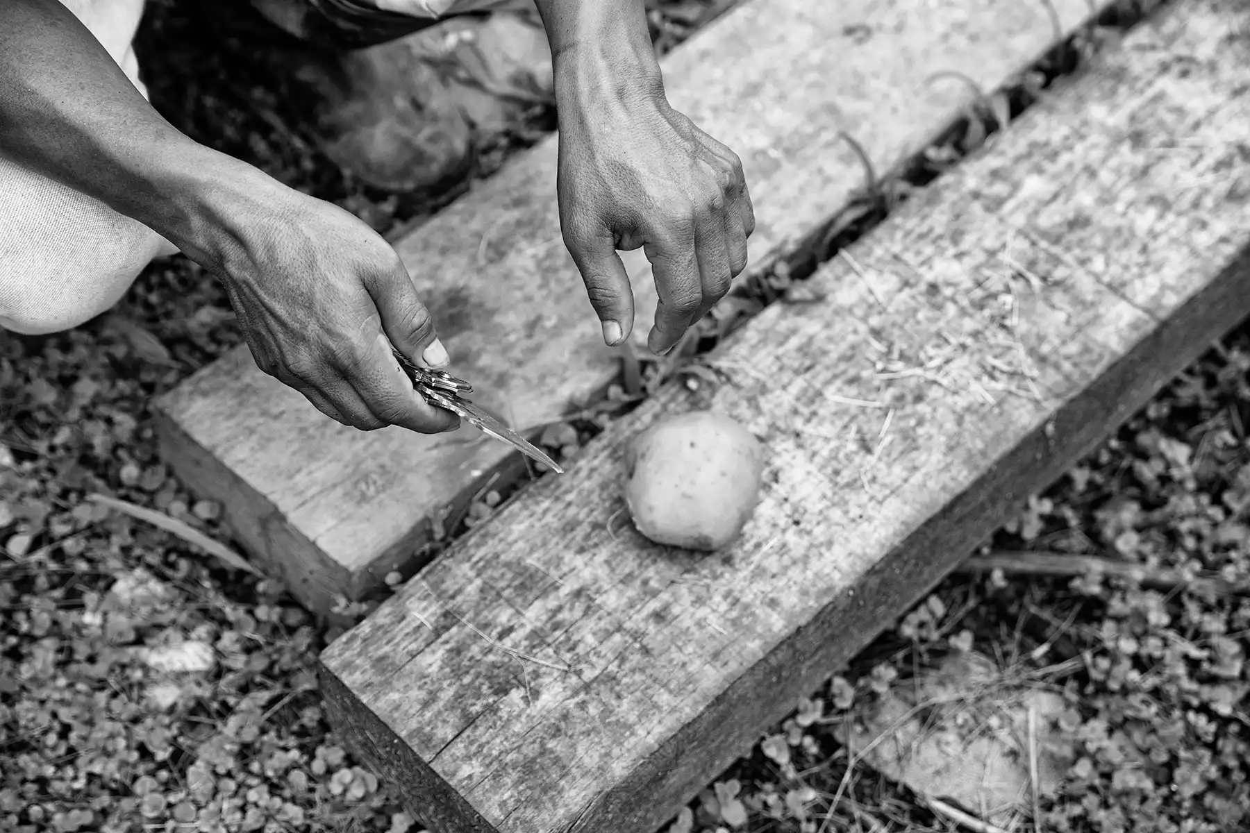 Gonçalo Cunha de Sá