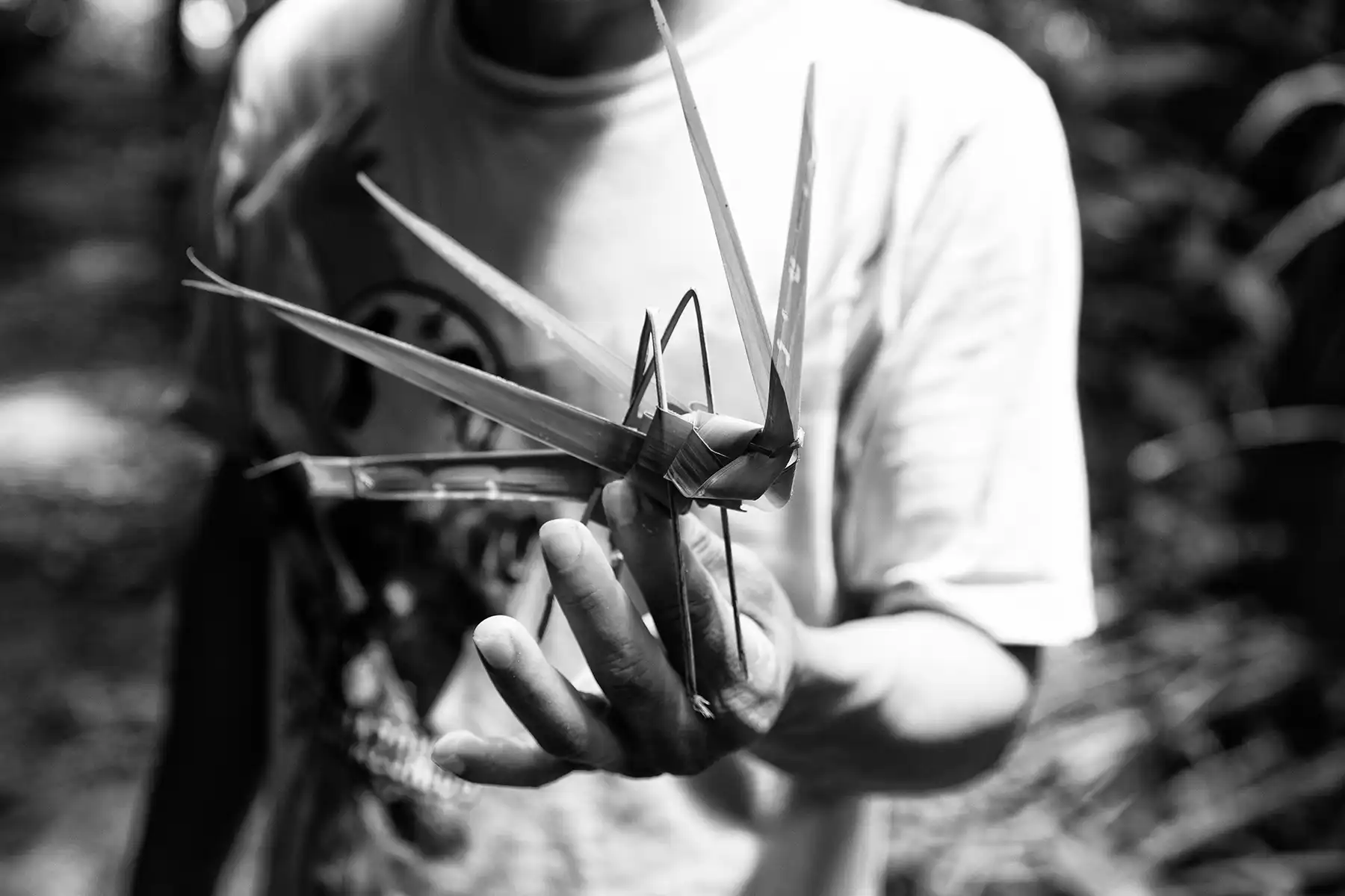 Gonçalo Cunha de Sá