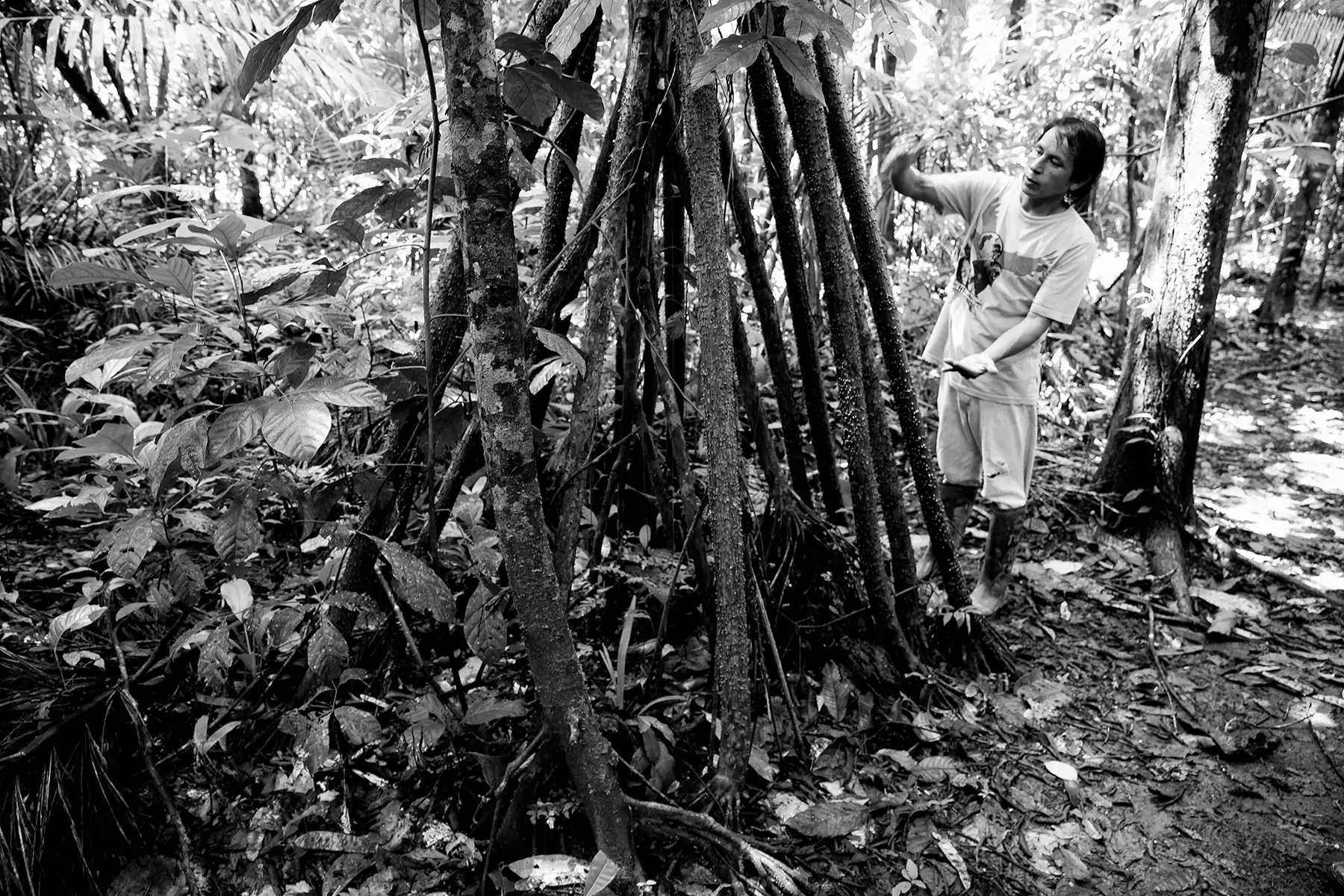 Gonçalo Cunha de Sá