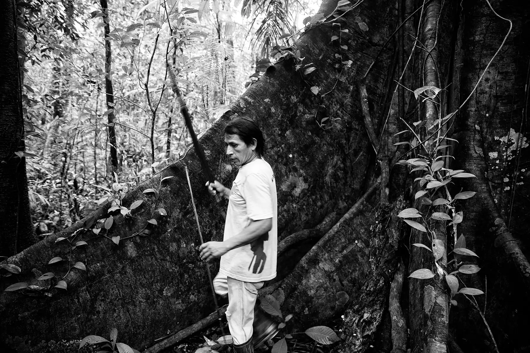 Gonçalo Cunha de Sá