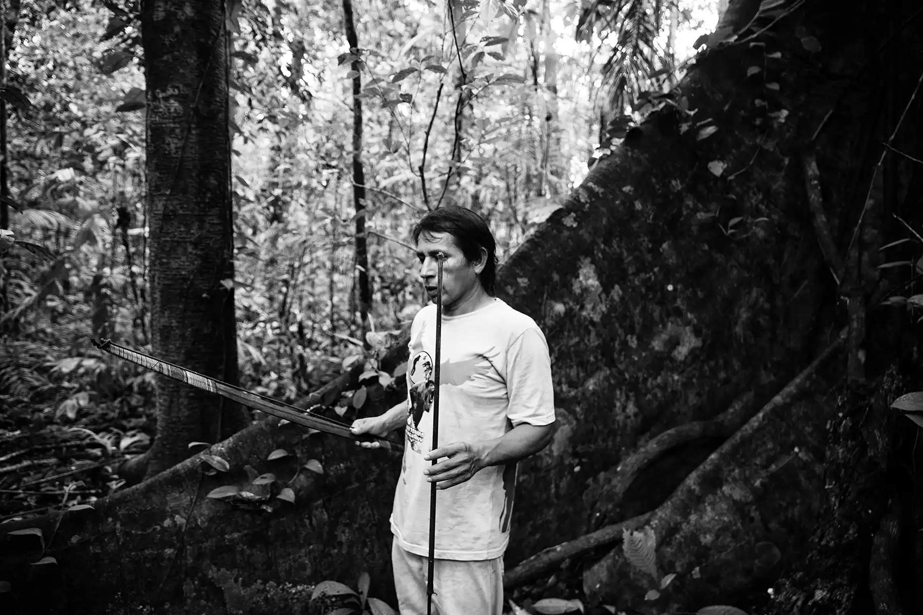 Gonçalo Cunha de Sá