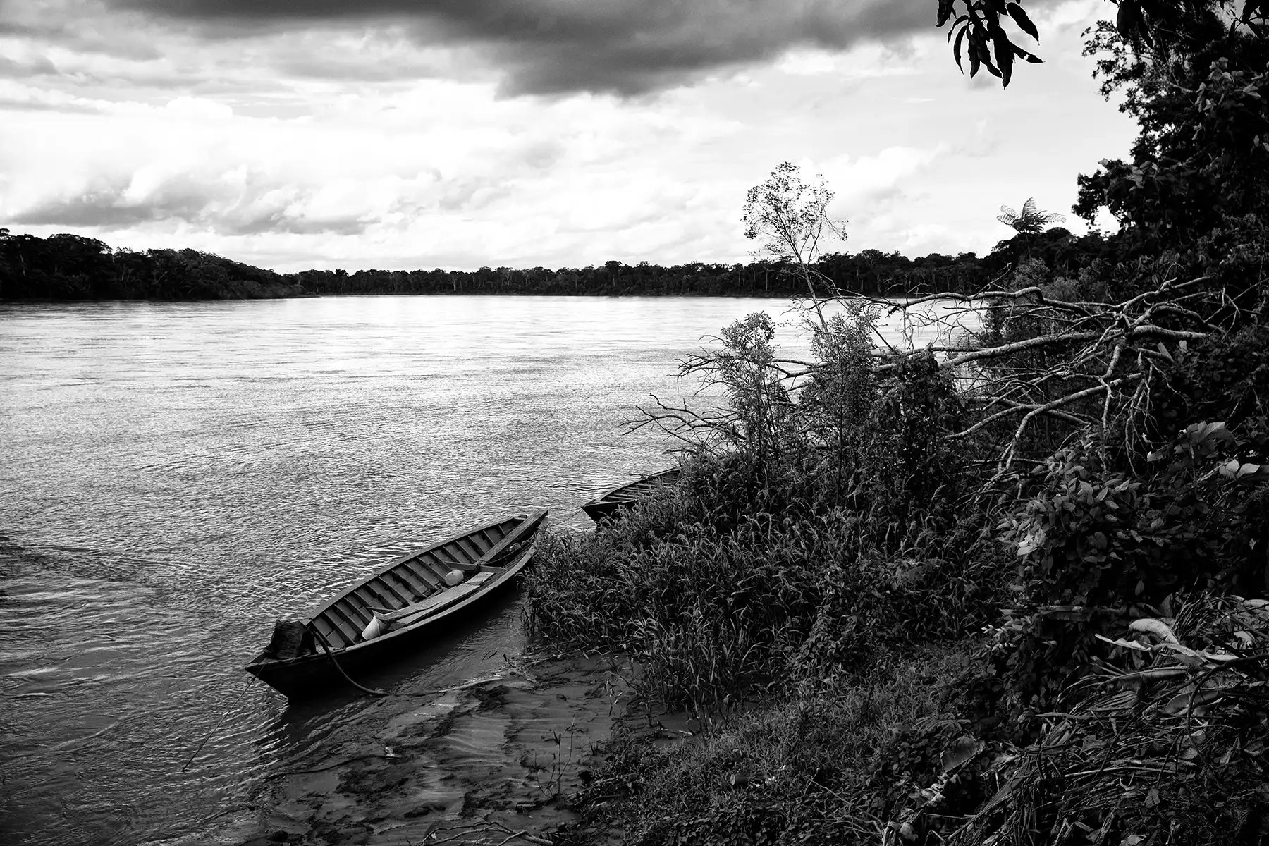 Gonçalo Cunha de Sá