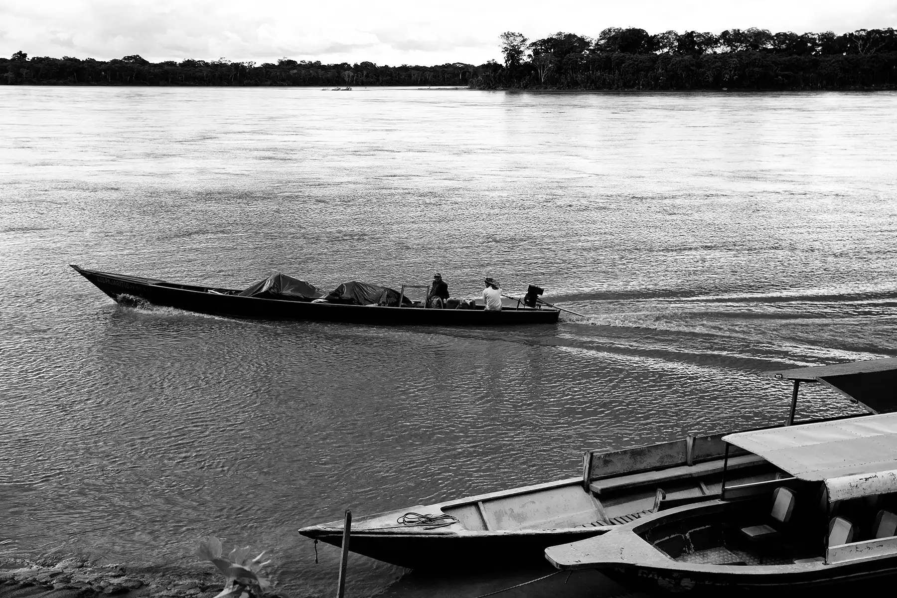 Gonçalo Cunha de Sá